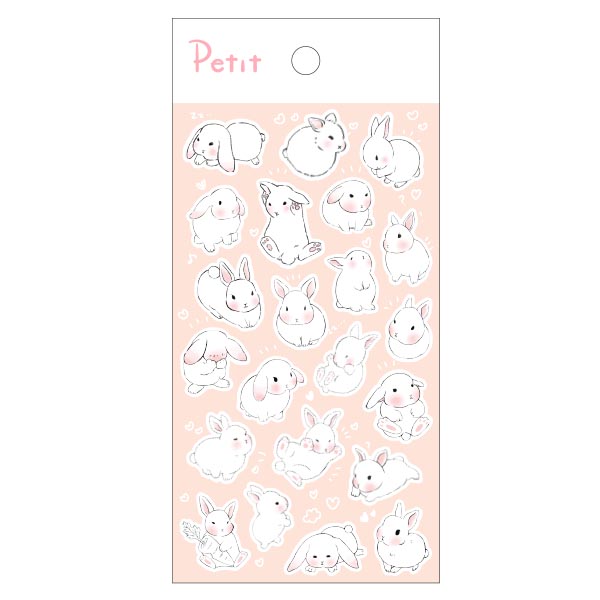 PD901 Shy Rabbit