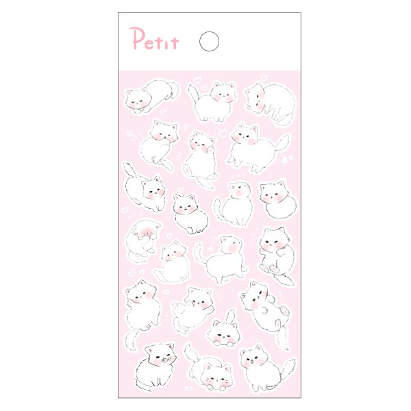 PD902 Shy Cat