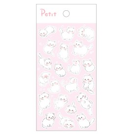 PD902 Shy Cat